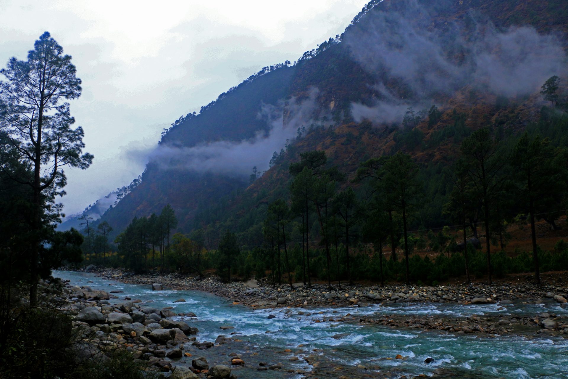 Dehradun hill road